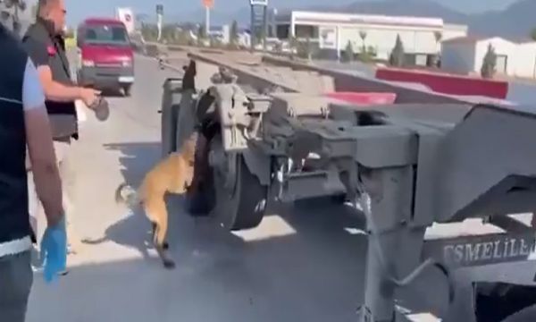 TIR'ın lastiğinden 50 kilogram uyuşturucu çıktı!